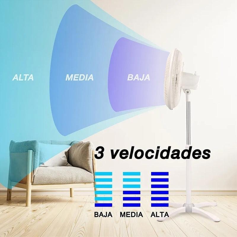 Imagen del producto 7