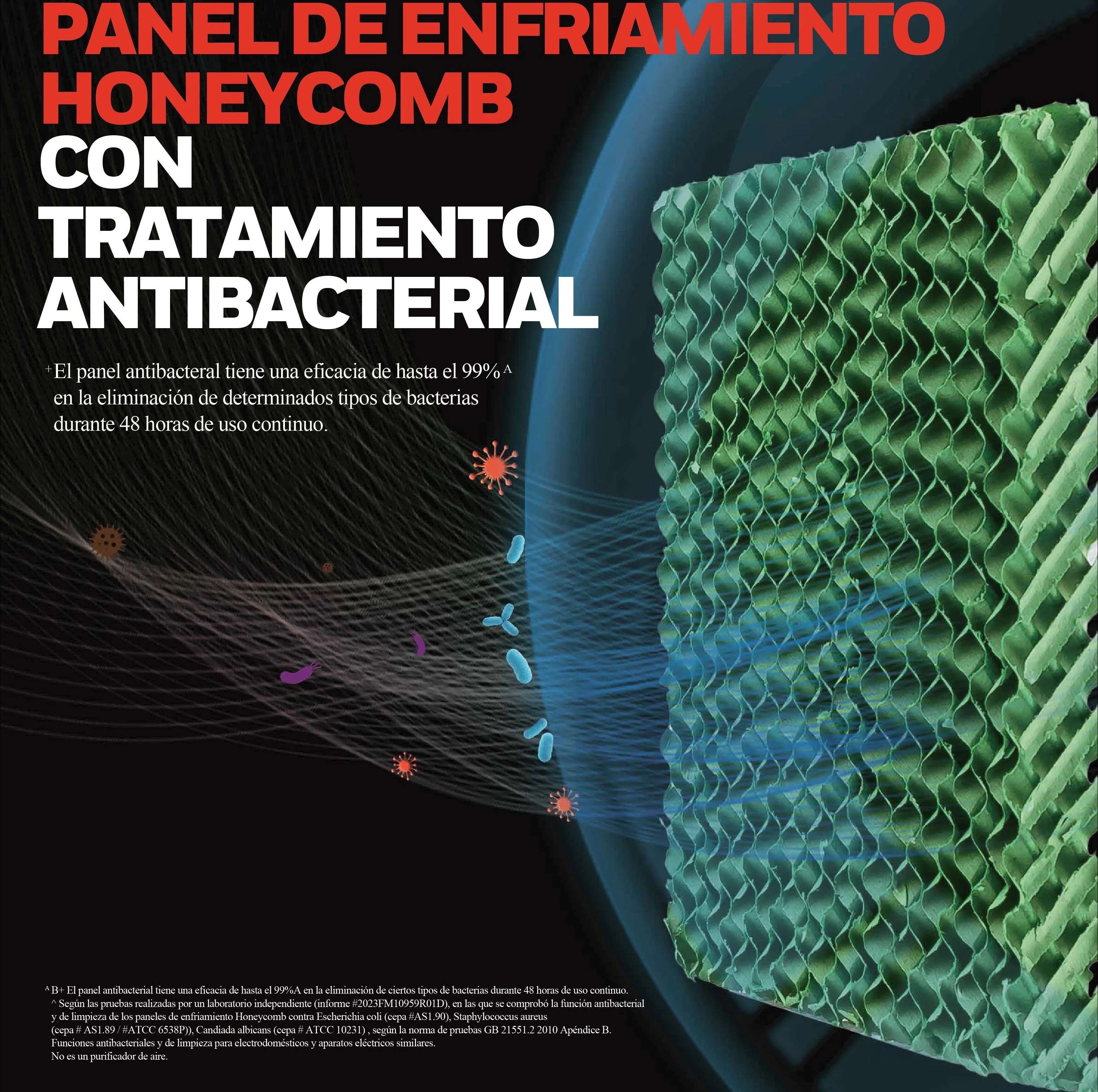 Imagen del producto 11
