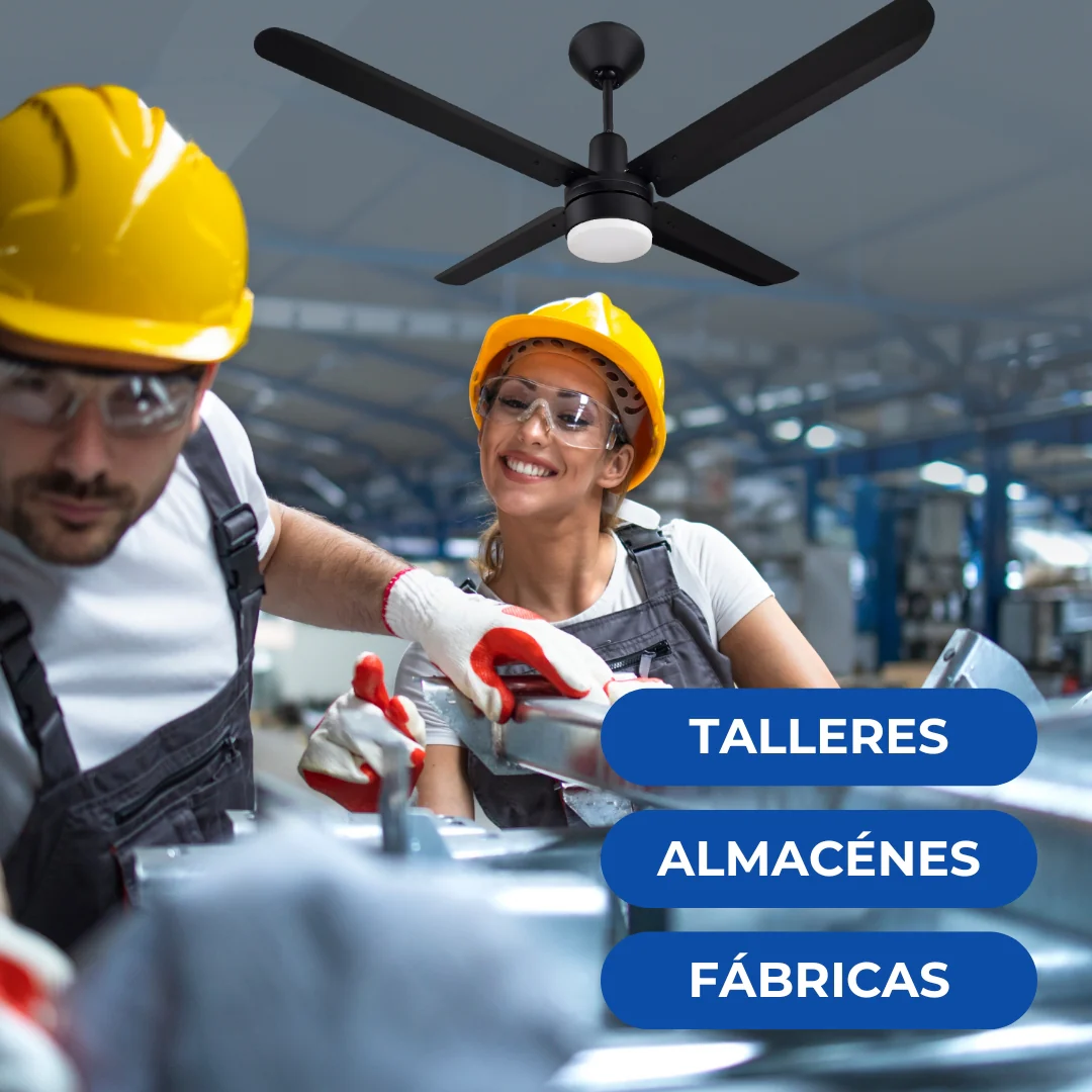 Imagen del producto 10