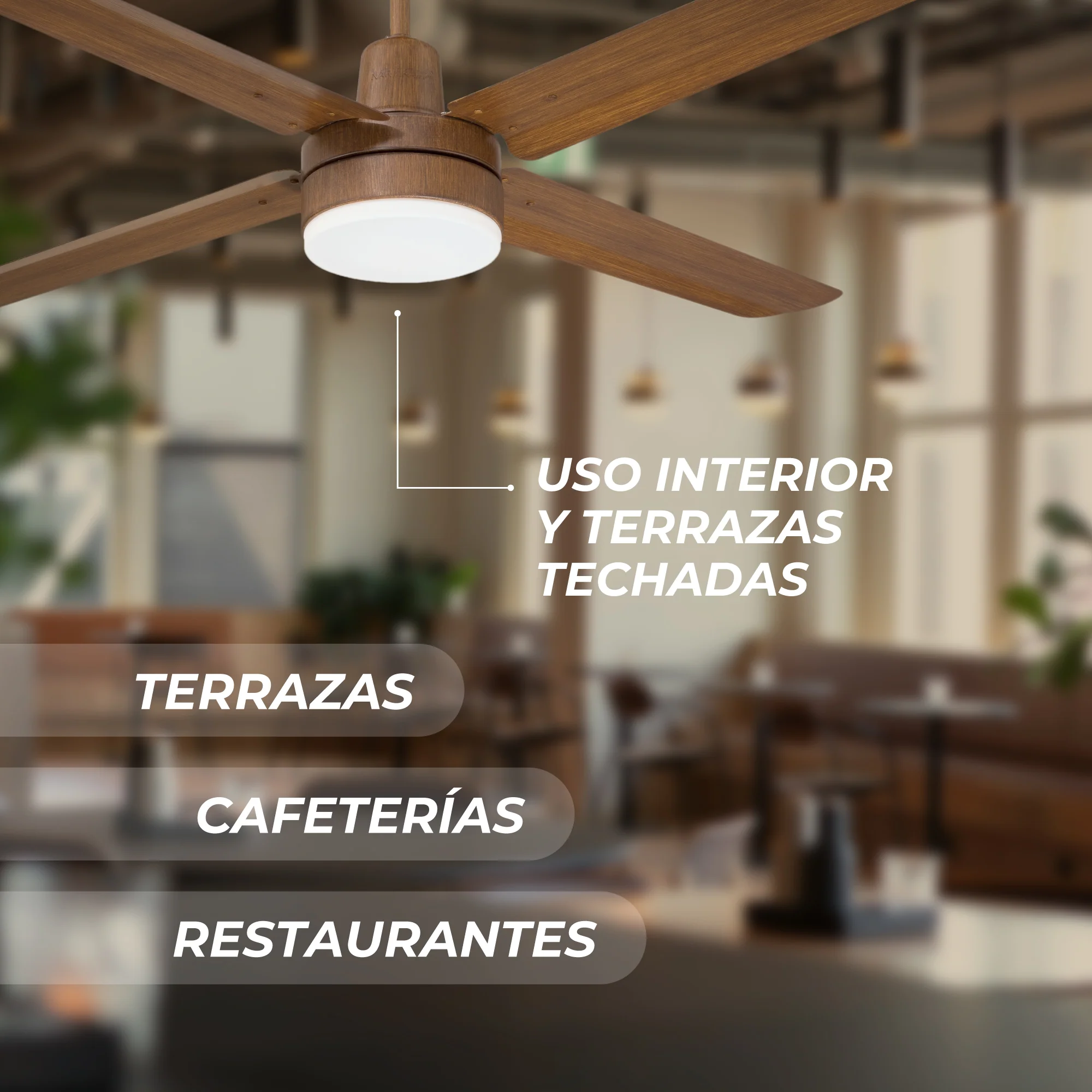 Imagen del producto 8
